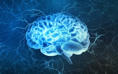 Neuroathletik – Neuroathletisches Training
